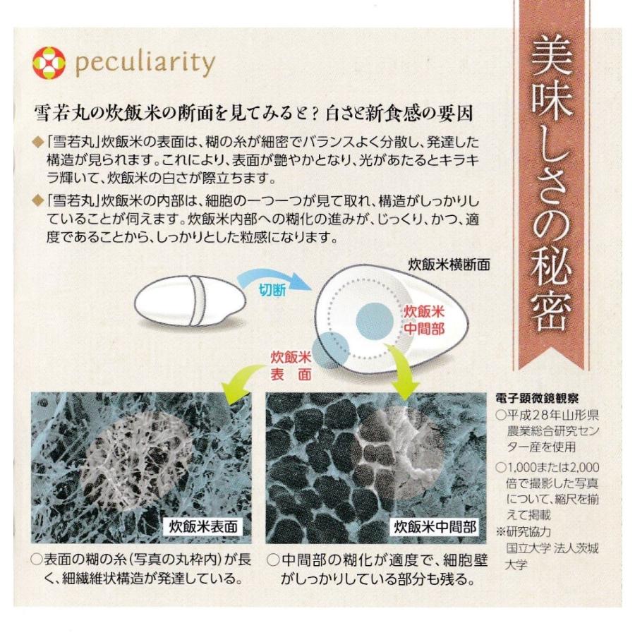 お米 30kg 山形県産 雪若丸 玄米 5kg×6袋 令和5年産 精米無料 白米 5分付き 7分づき 熨斗無料 グルメ 大容量 嬉しいプレゼント付き｜yamasina｜05