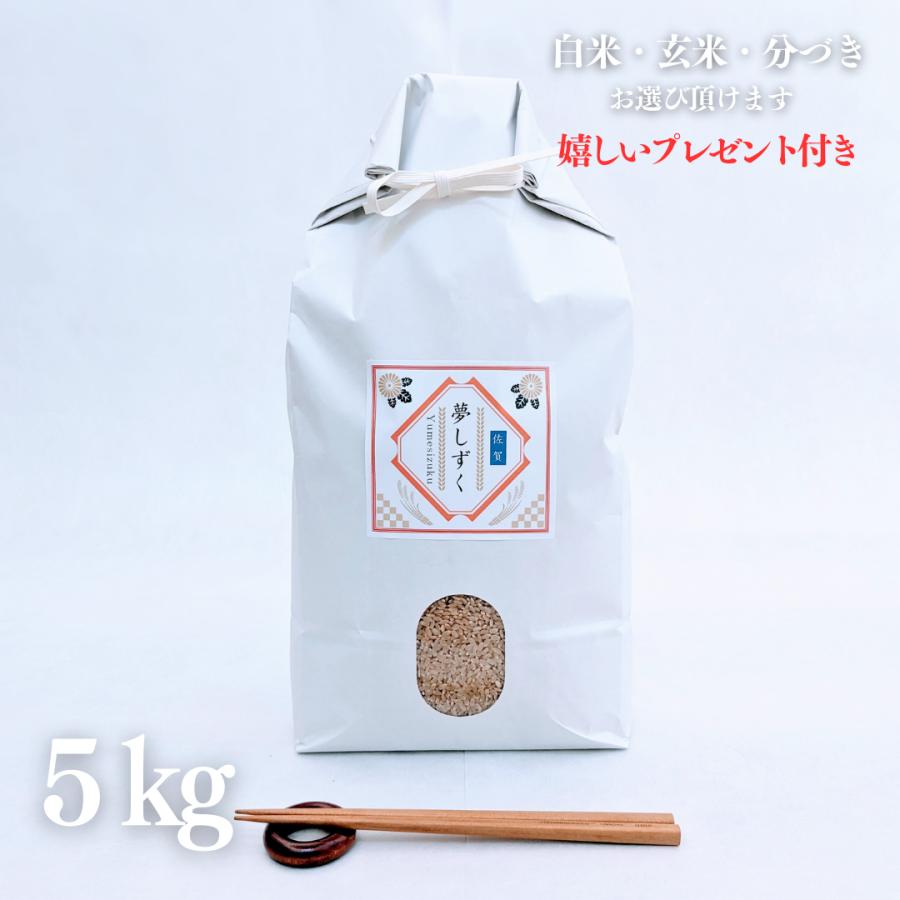 食品 佐賀 米 夢しずく 令和5年 20キロ 玄米