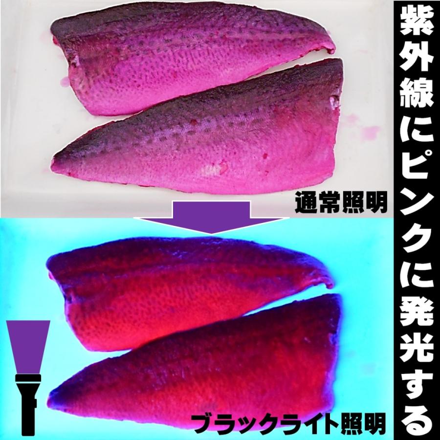 集魚剤 紫外線加工液 蛍光発光 ケイムラブルー ケイムラピンク 190ml ２色組 食紅 ピンク 冷凍 オキアミ 海上釣堀 エサ 冷凍イワシ 餌 アミエビ｜yamasita-gyoguten｜16