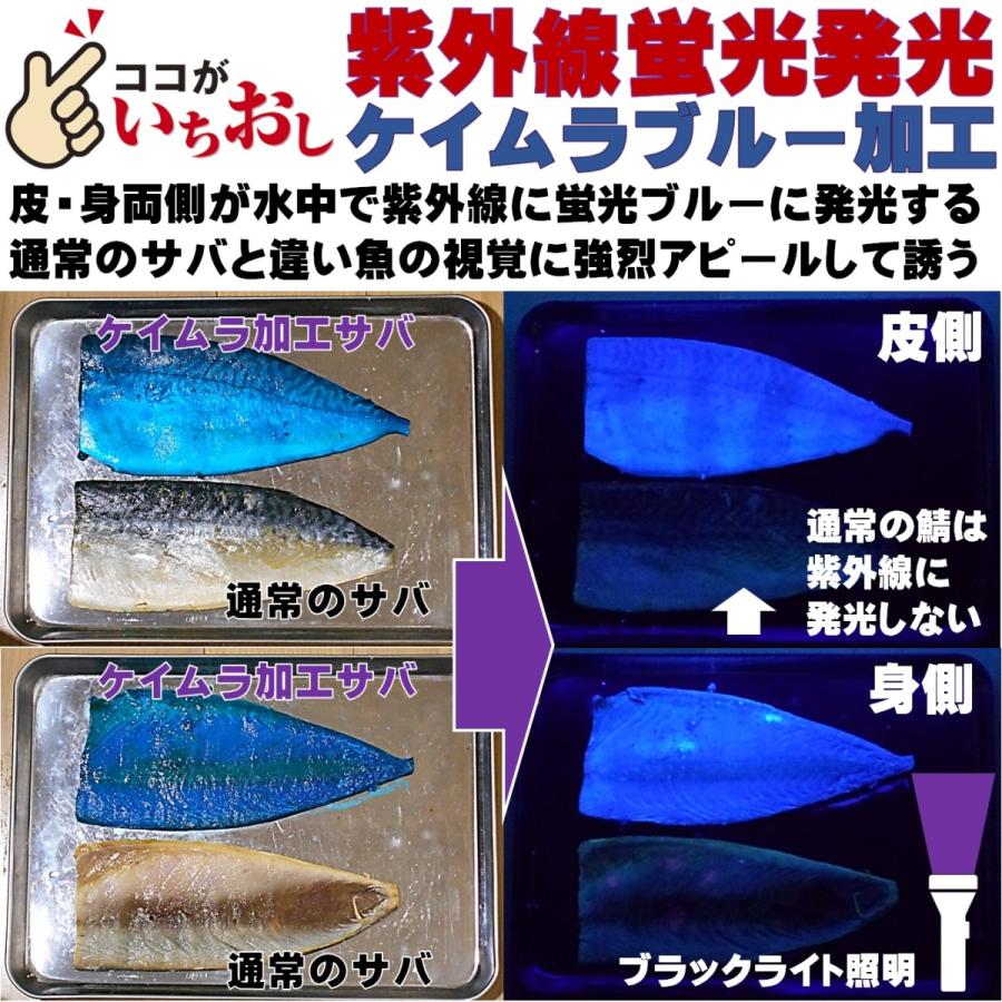 集魚剤 紫外線加工液 蛍光発光 ケイムラブルー ケイムラピンク 190ml ２色組 食紅 ピンク 冷凍 オキアミ 海上釣堀 エサ 冷凍イワシ 餌 アミエビ｜yamasita-gyoguten｜10