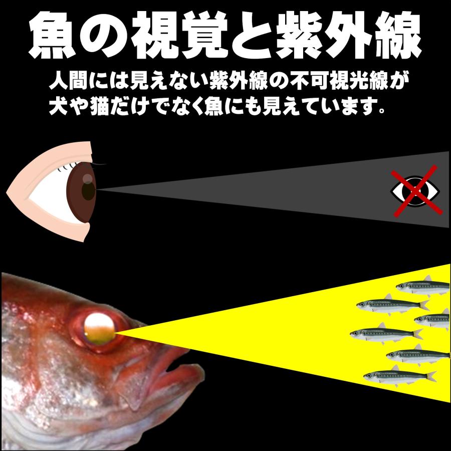 アカムツ 仕掛け 餌 ケイムラ フラッシャー ピンク&パープルコンビ ホタ針16号 18号 赤針 ５本組 アカムツ仕掛け フラッシャー 仕掛け 胴付き仕掛け｜yamasita-gyoguten｜04