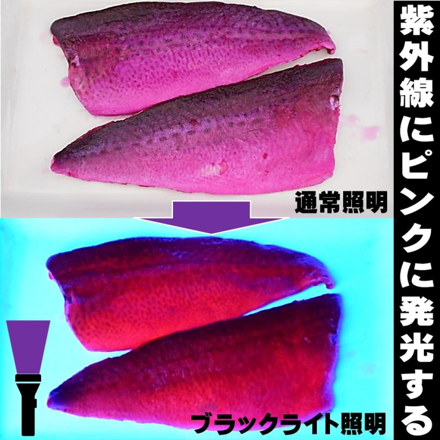 視覚嗅覚Wに効果 つりエサ用 アミノ酸配合 紫外線加工液 ケイムラピンク 190ml2本組 ケイムラ 液 紫外線加工液 紫外線 加工液 紫外線 加工 液 ケイムラ 加工液|yamasita-gyoguten|08