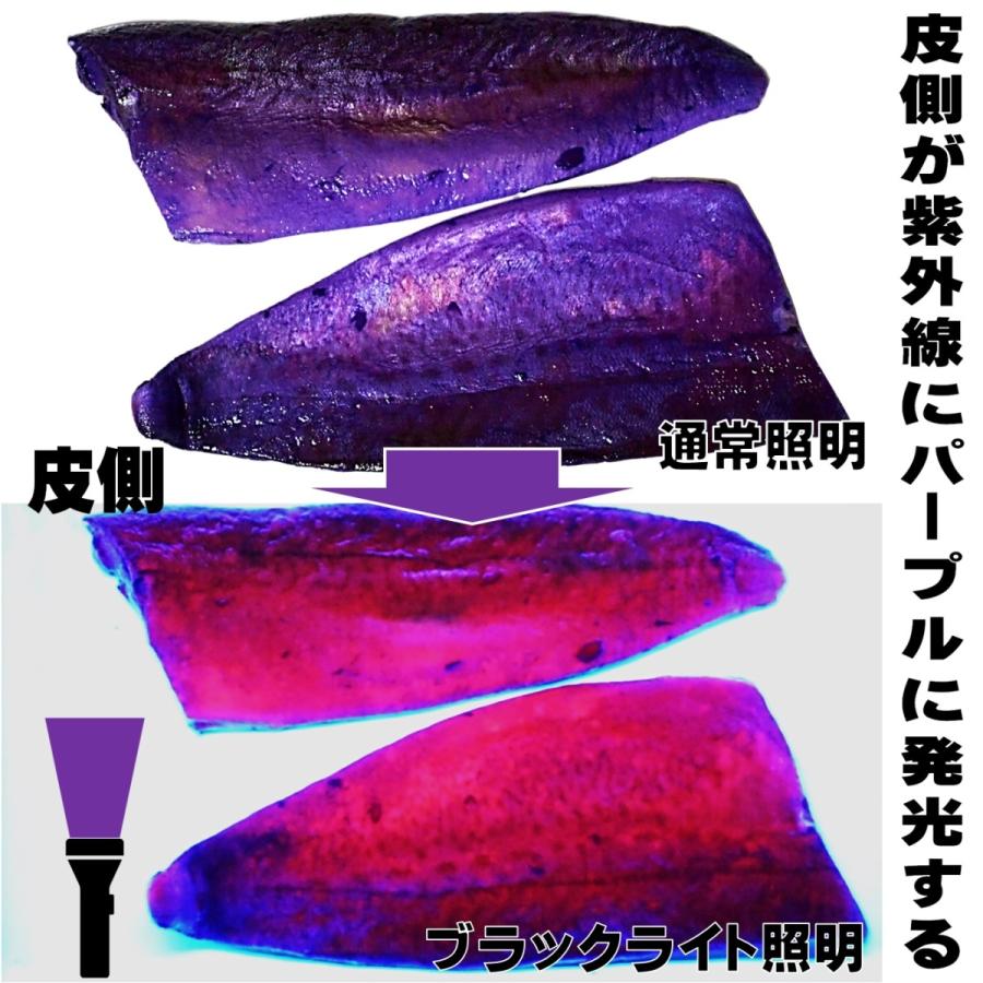 視覚嗅覚ダブルに効果 アミノ酸 配合 紫外線 ケイムラ 加工液 190ml 欲張り全5色組 ケイムラ 液 紫外線加工液 紫外線 加工液 紫外線 加工 液 ケイムラ 加工液|yamasita-gyoguten|08