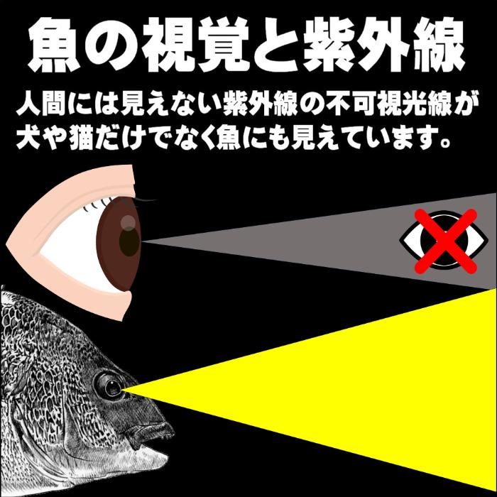 冷凍オキアミ 集魚剤 釣り餌 刺し餌用 アミノ酸 アラニン にんにく 水飴 餌締め塩 配合 紫外線加工液 ケイムラホワイト クリア 80ml 海上釣堀 エサ｜yamasita-gyoguten｜03