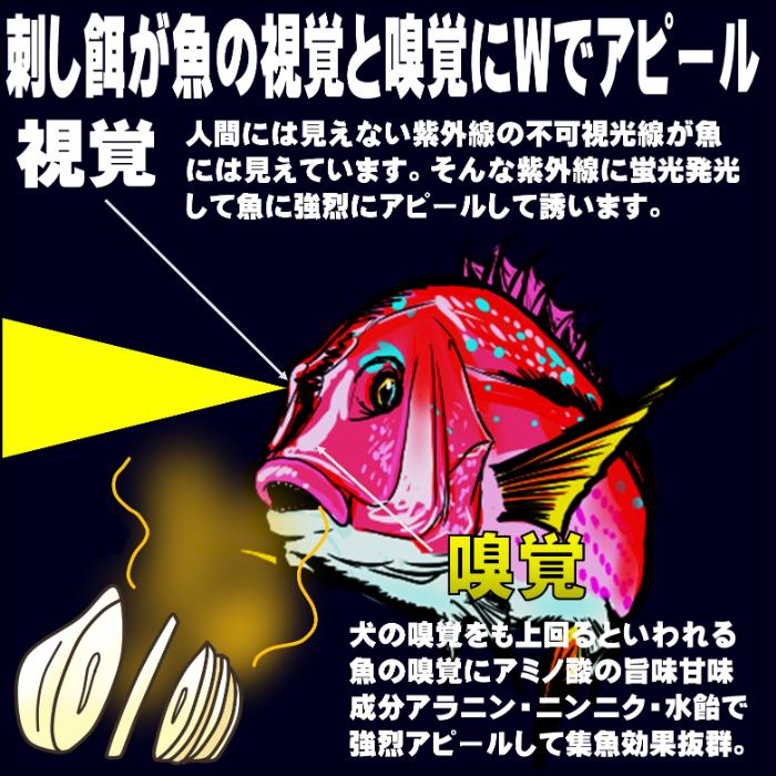 釣り餌 キビナゴ 餌 アミノ酸アラニン・激臭にんにく・甘味料水飴配合 紫外線 蛍光発光 ケイムライエロー 塩漬け キビナゴ １５尾入り｜yamasita-gyoguten｜12