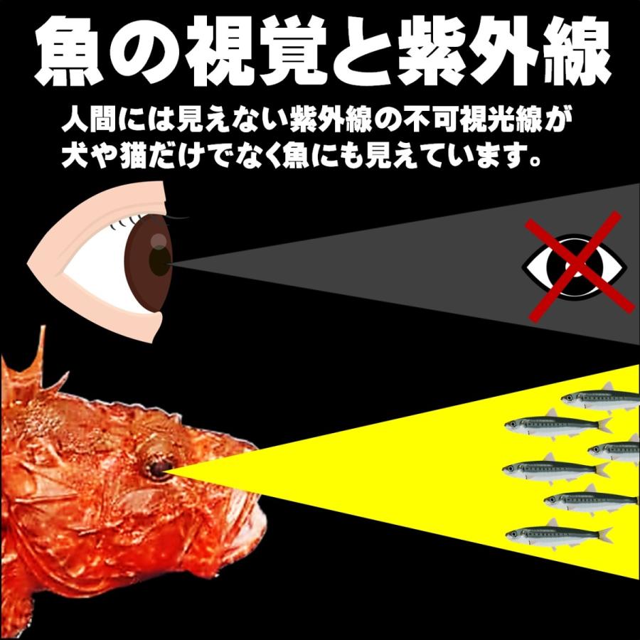 驚きの値段 オニカサゴ 仕掛け アラカブ ケイムラ 紫外線 蛍光 フラッシャー オレンジ 夜光玉 吹流し 天秤仕掛け 用 鬼笠子 レッドamp 紫 3本針仕掛け Materialworldblog Com