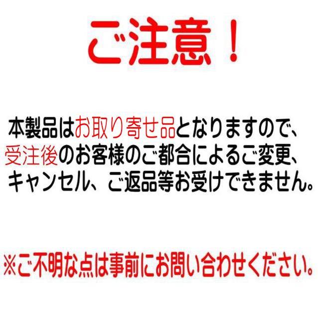リョービ RYOBI リョービ ドアクローザー 1003 スタンダード リョービ RYOBI リョービ ドアクローザー 1003 スタンダード