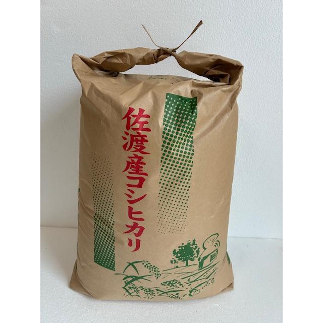 新米 令和6年 佐渡産コシヒカリ（従来品種） 玄米30kg 農家直送  