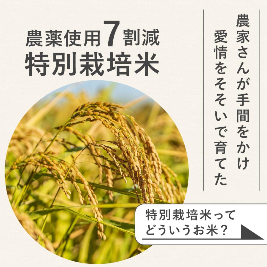 令和7年産】農薬7割減 特別栽培米 玄米を簡単に食べやすく かんたん