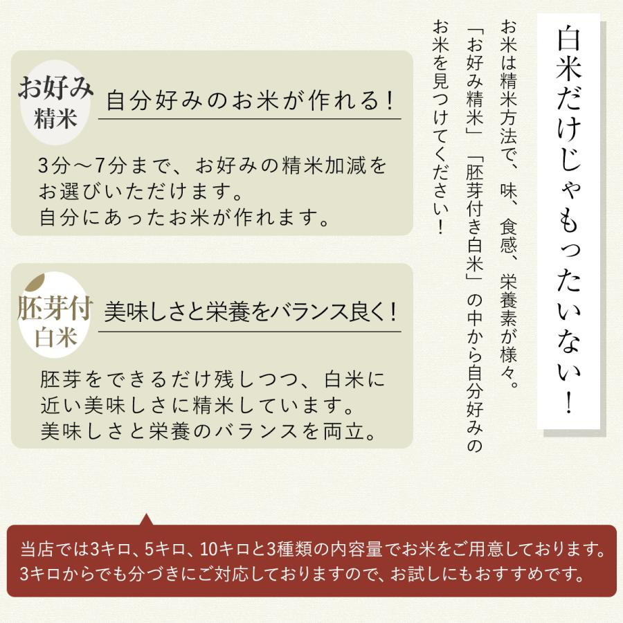 コシヒカリ 【令和7年産】農薬5割減 特別栽培米 静岡県産 産地直送