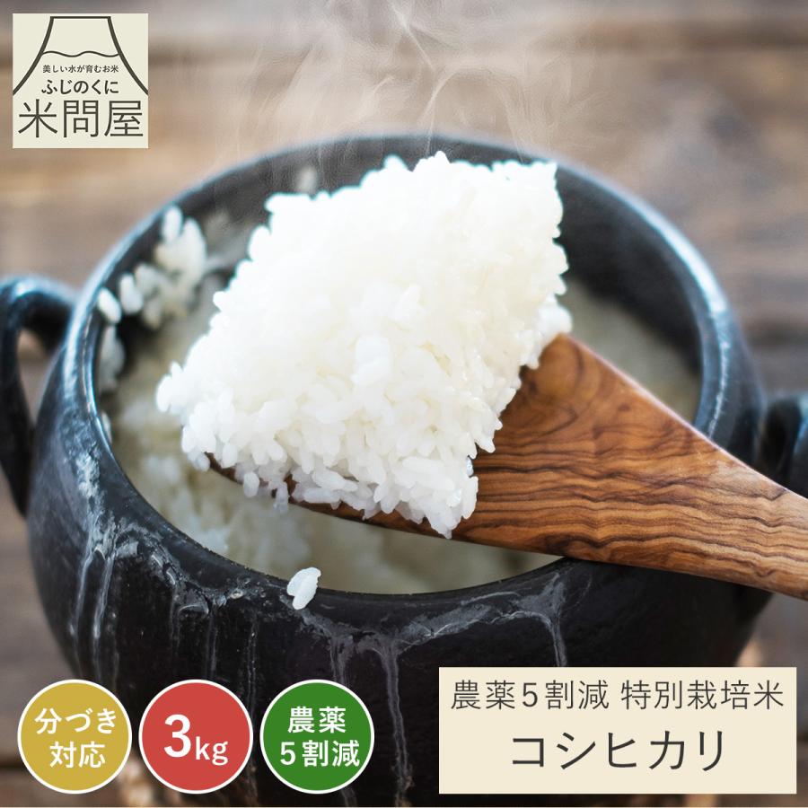 コシヒカリ 【令和7年産】農薬5割減 特別栽培米 静岡県産 産地直送 3kg 
