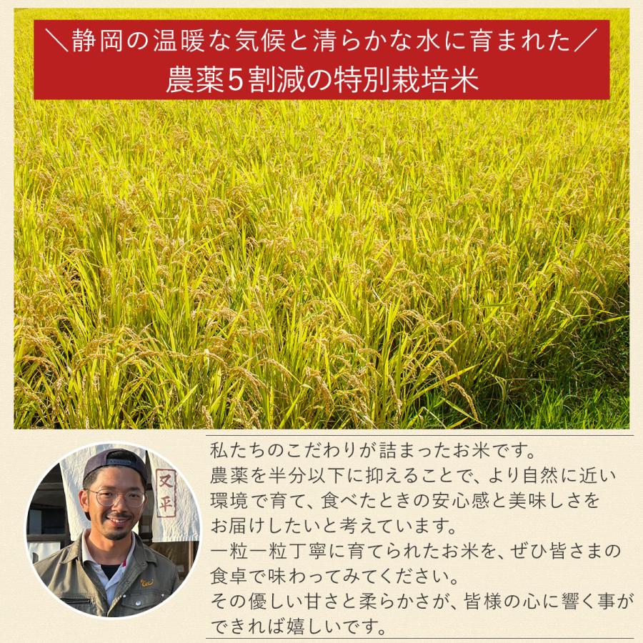令和7年産】農薬5割減 特別栽培米 きぬむすめ 静岡県産 産地直送 3kg