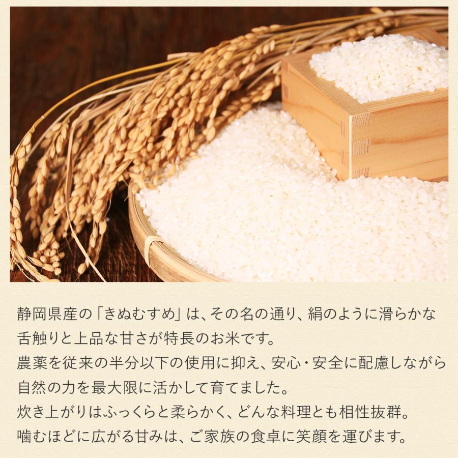 令和7年産】農薬5割減 特別栽培米 きぬむすめ 静岡県産 産地直送 3kg