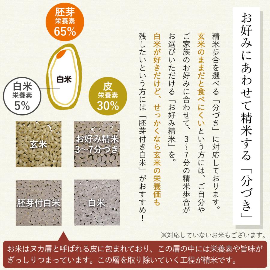 令和7年産】農薬5割減 特別栽培米 きぬむすめ 静岡県産 産地直送 3kg 