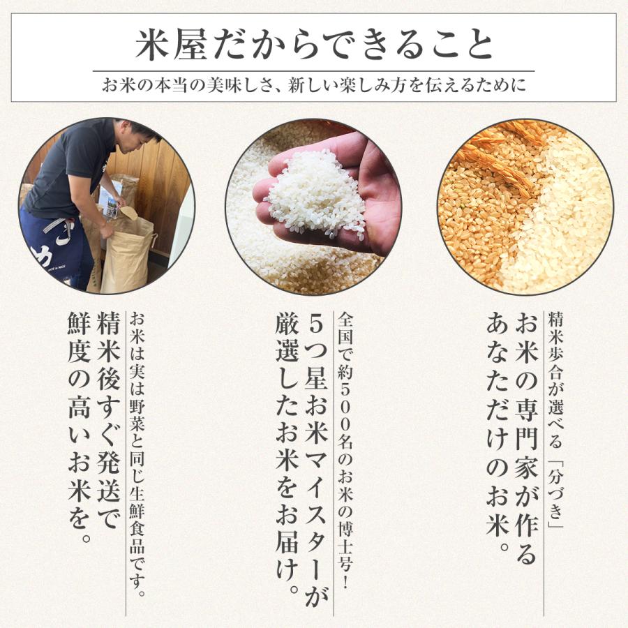 ミルキークイーン 【令和7年産】農薬5割減 特別栽培米 静岡県産 5kg 減