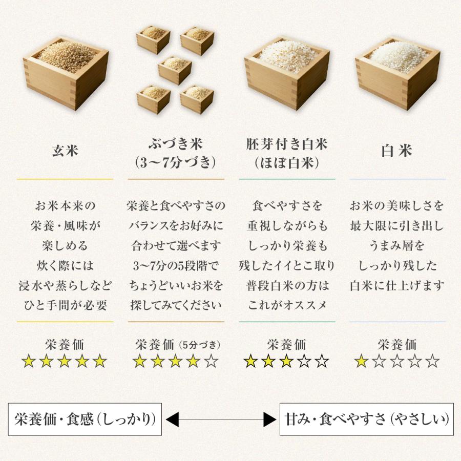 ミルキークイーン 【令和7年産】農薬5割減 特別栽培米 静岡県産 5kg 減