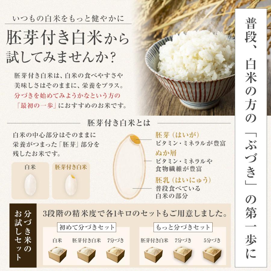 ミルキークイーン 【令和7年産】農薬5割減 特別栽培米 静岡県産 5kg 減