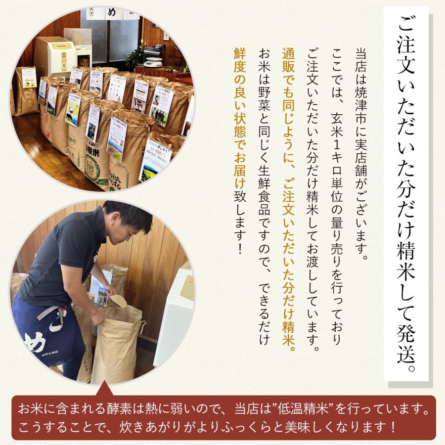 ミルキークイーン 【令和7年産】農薬5割減 特別栽培米 静岡県産 産地