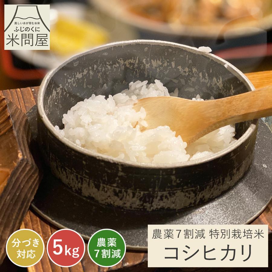 コシヒカリ 【令和7年産】農薬7割減 特別栽培米 静岡県産 産地直送 5kg 