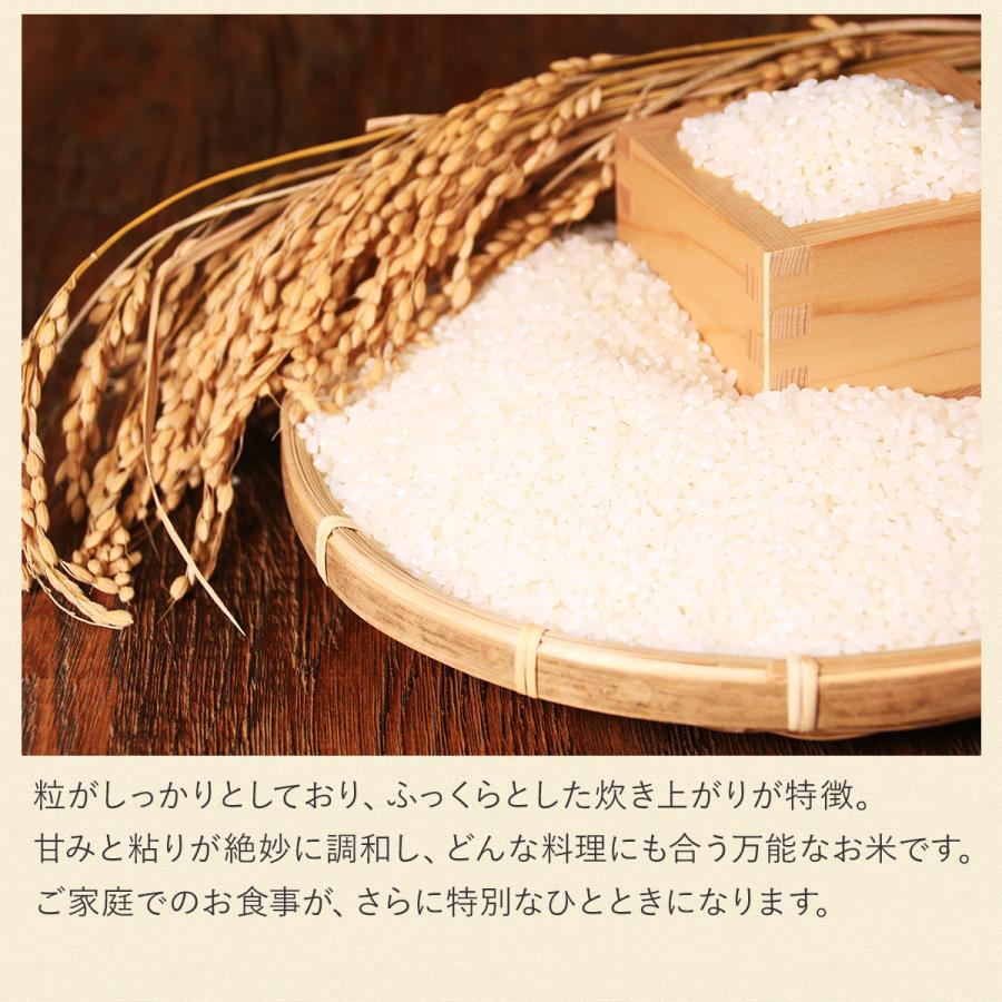 コシヒカリ 【令和7年産】農薬7割減 特別栽培米 静岡県産 産地直送 5kg 