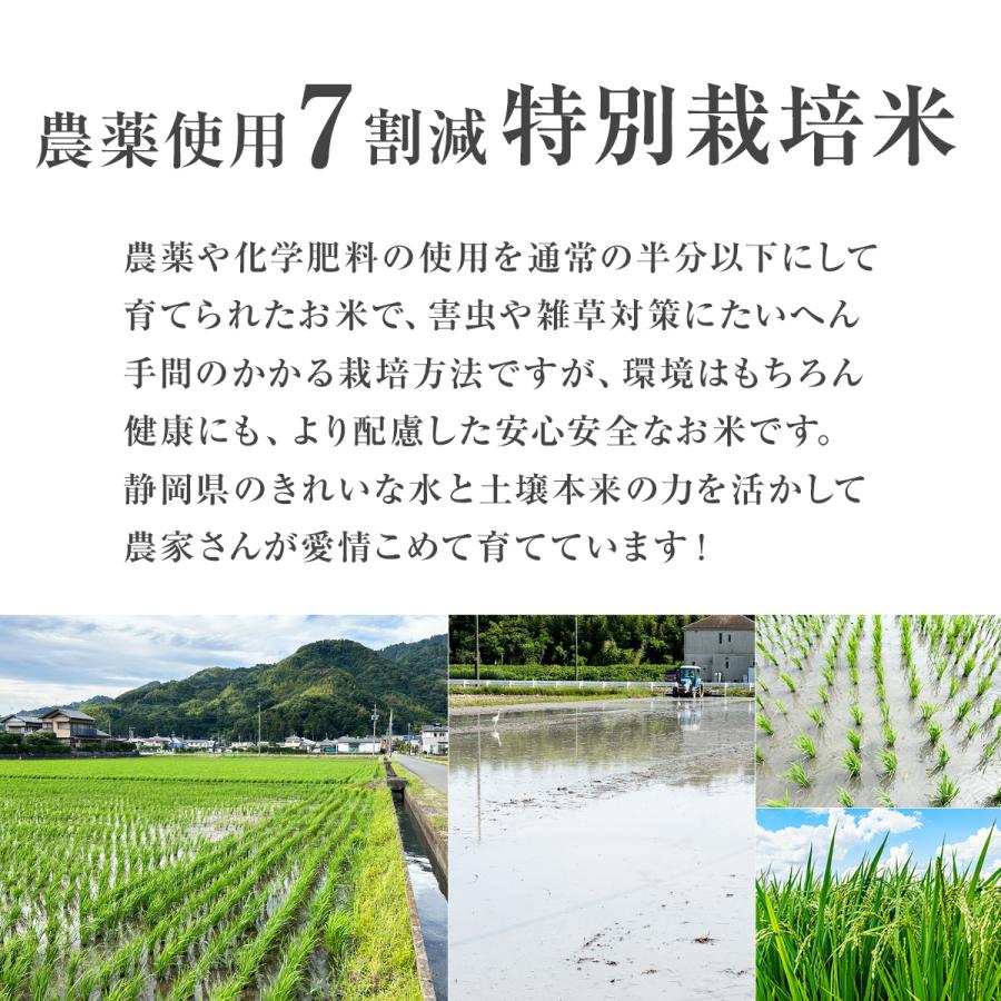 コシヒカリ 【令和7年産】農薬7割減 特別栽培米 静岡県産 5kg 減農薬