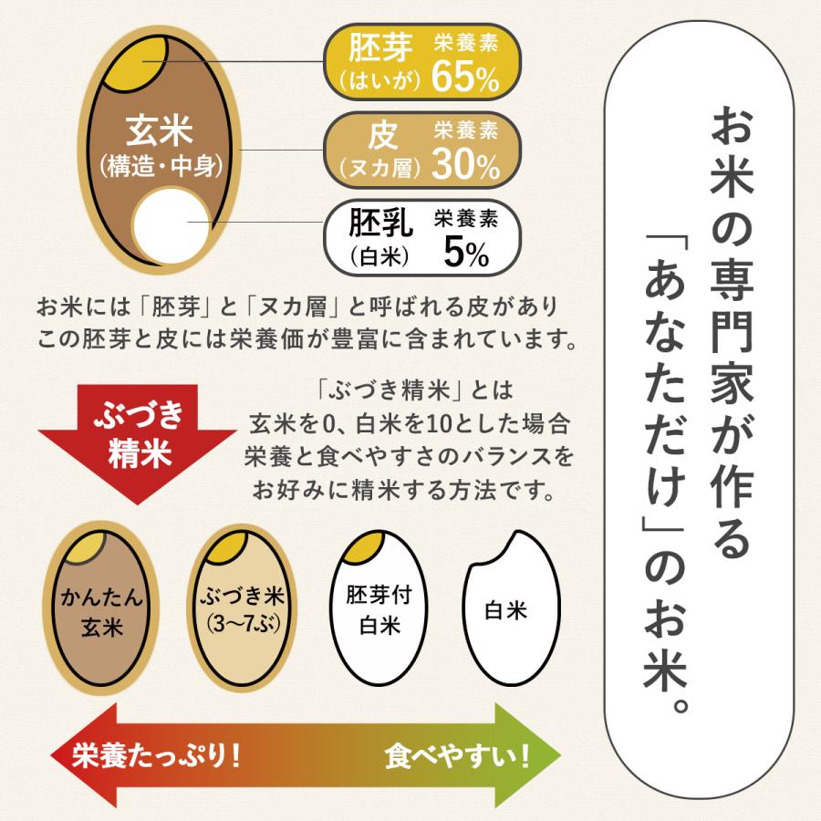 ミルキークイーン 【令和7年産】農薬7割減 特別栽培米 静岡県産 産地 