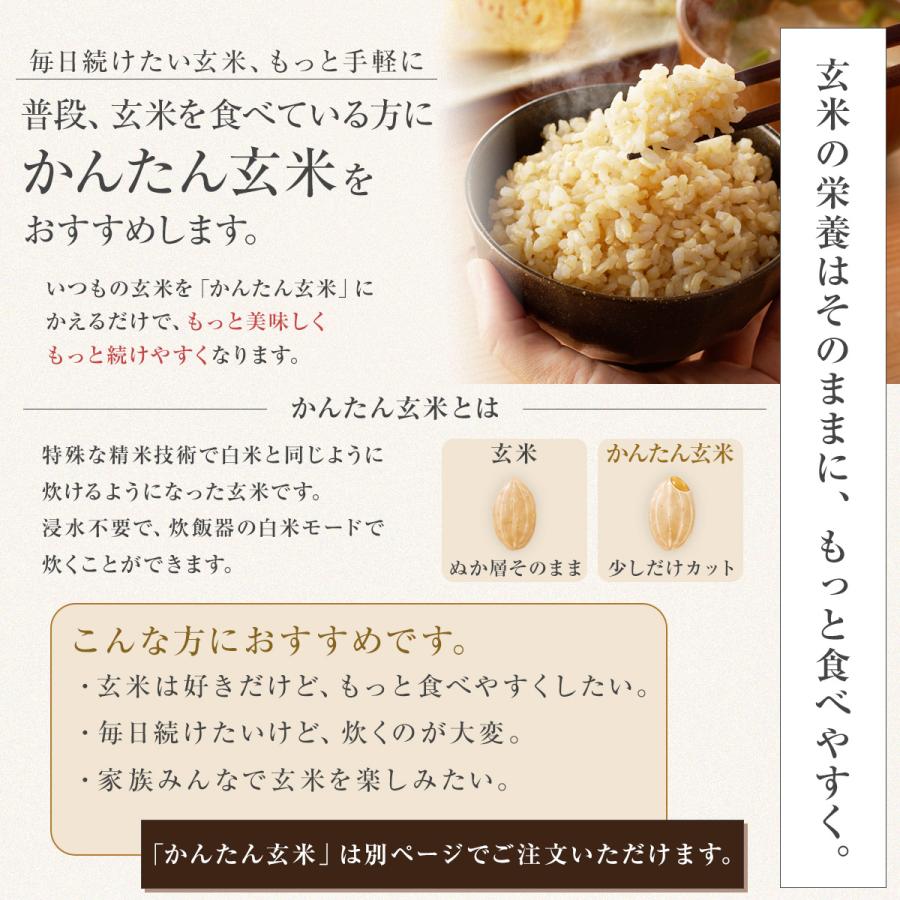 農薬減量使用栽培 令和7年度産うるち米 玄米10キロ 秋の収穫前までお