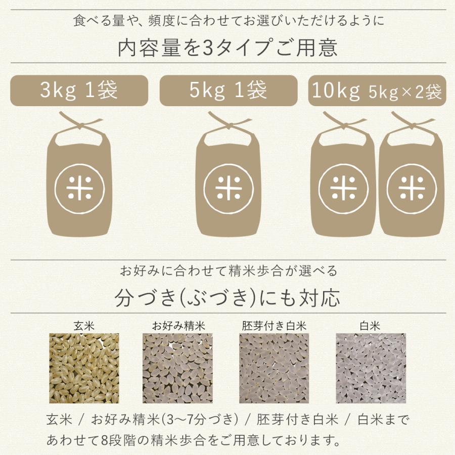令和7年産】農薬7割減 特別栽培米 にじのきらめき 産地直送 3kg 減農薬