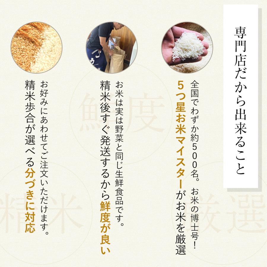 令和7年産】農薬7割減 特別栽培米 にじのきらめき 産地直送 5kg 減農薬
