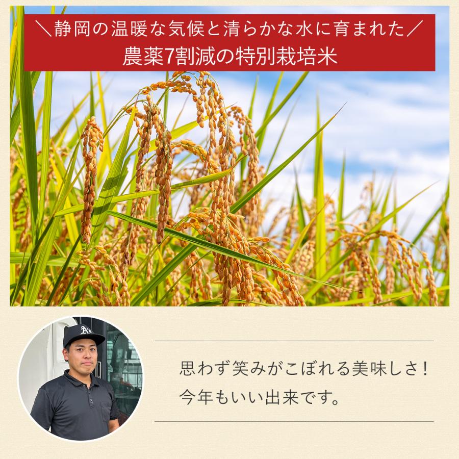 令和7年産】農薬7割減 特別栽培米 にこまる 産地直送 10kg 5kg×2個 減