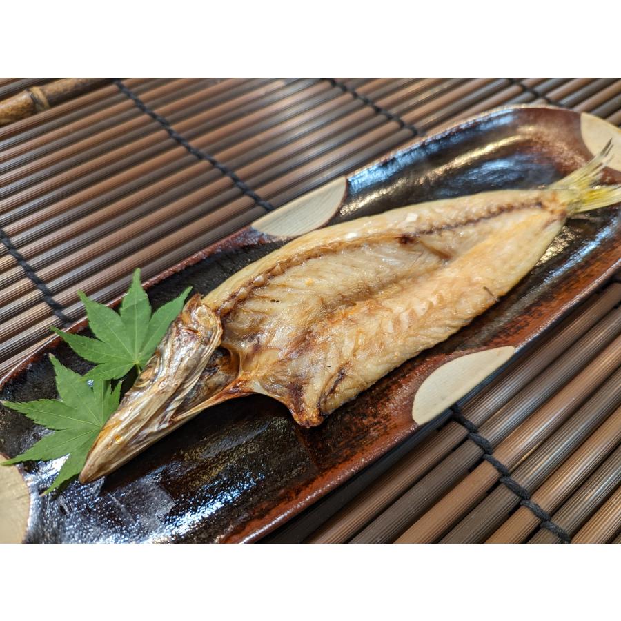 ヤマスイの天日干しセット（6魚種入り）【潮彩セット】 ひもの お