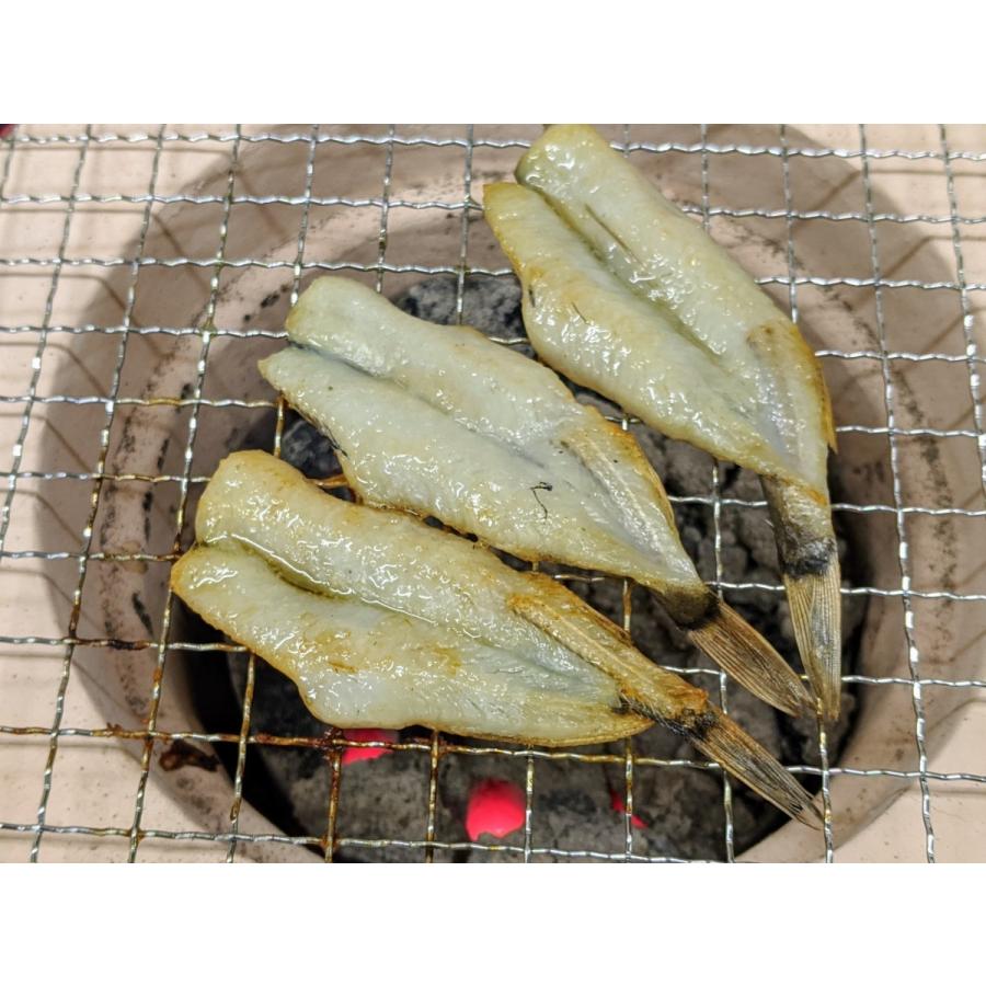 初めて食べるならこれ めひかり 開き 汐干し メヒカリ 目光り つまみ 父の日 メヒカリ さかな 肴 プレゼント 愛知 蒲郡 92 073 味のヤマスイ 山本水産 ヤフー店 通販 Yahoo ショッピング