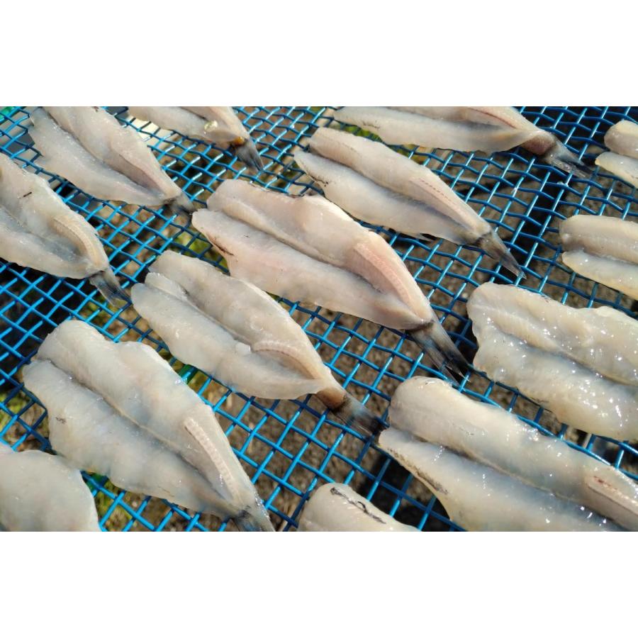 初めて食べるならこれ めひかり 開き 汐干し メヒカリ 目光り つまみ 父の日 メヒカリ さかな 肴 プレゼント 愛知 蒲郡 92 073 味のヤマスイ 山本水産 ヤフー店 通販 Yahoo ショッピング