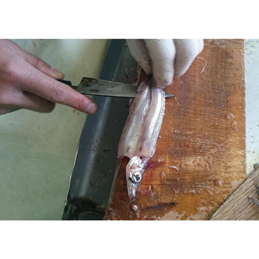 蒲郡ニギスの開き 生冷凍 枚入り 味付けなし 天ぷら フライ用 お取り寄せ グルメ 愛知 にぎす 蒲郡 92 4 味のヤマスイ 山本水産 ヤフー店 通販 Yahoo ショッピング