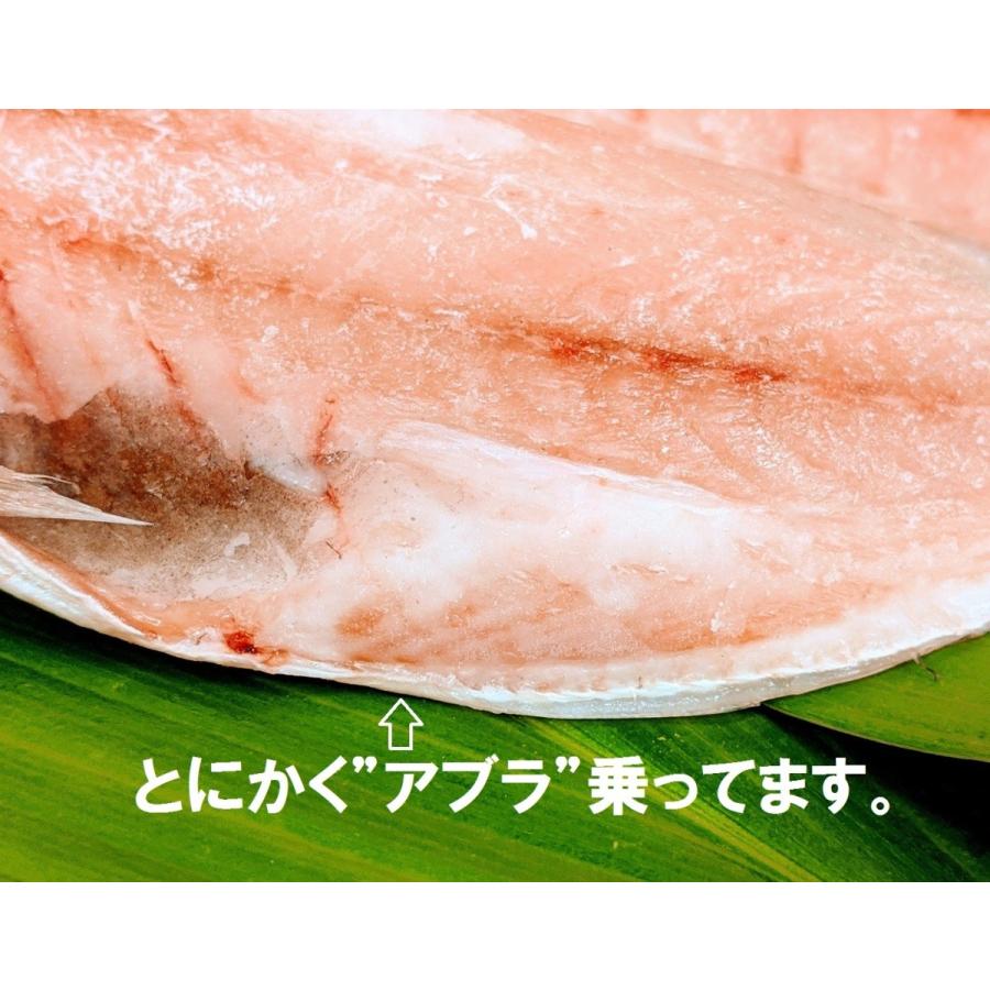 ホントに旨い 真アジの開き ５枚入り 真あじ アジ ホクホク 脂乗ってます 国産 国内加工 92 52 味のヤマスイ 山本水産 ヤフー店 通販 Yahoo ショッピング