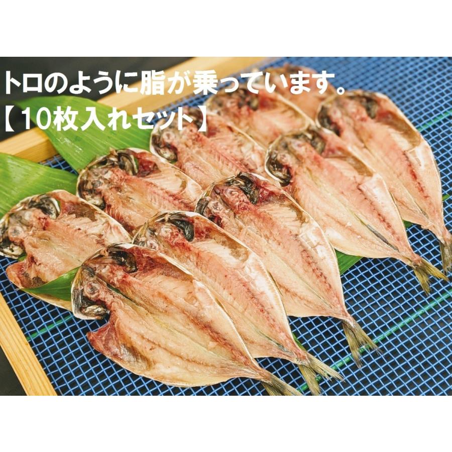 脂乗ってます ホントに美味しい 真あじの開き 10枚入り 真アジ あじ つまみ メヒカリ さかな 肴 プレゼント 父の日 92 53 味のヤマスイ 山本水産 ヤフー店 通販 Yahoo ショッピング