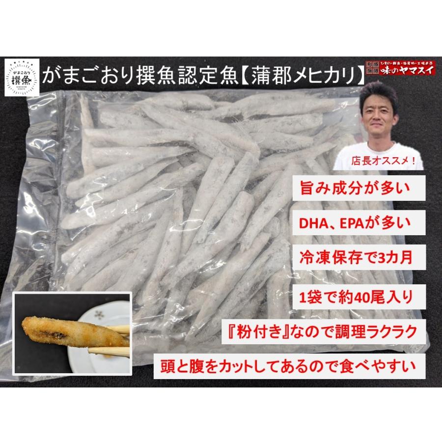 めひかり唐揚げ用"粉付き"新物です。360g入り。浜ちゃんが 　お取り寄せ　魚が食べたい　つまみ　プレゼント　メヒカリ　蒲郡　西浦　形原｜yamasui｜10