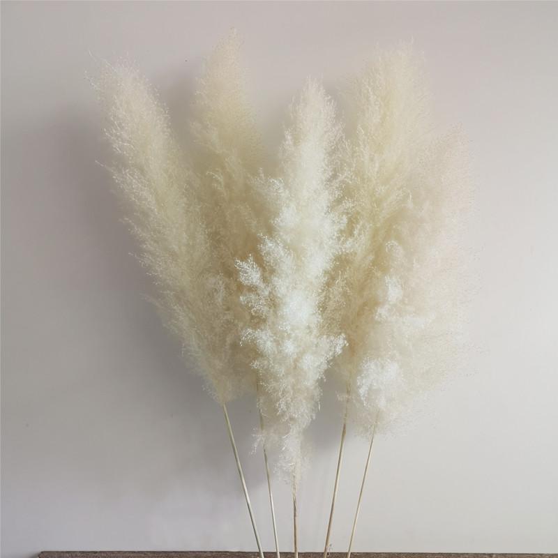 横長スワッグ スワッグ　ドライフラワー　ホワイト　ビッグテールリード 横長スワッグ スワッグ ドライフラワー ホワイト ビッグテール