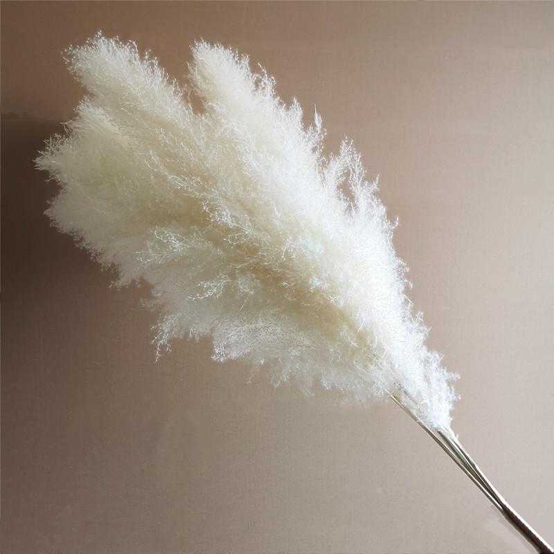 横長スワッグ スワッグ　ドライフラワー　ホワイト　ビッグテールリード 横長スワッグ スワッグ ドライフラワー ホワイト ビッグテール