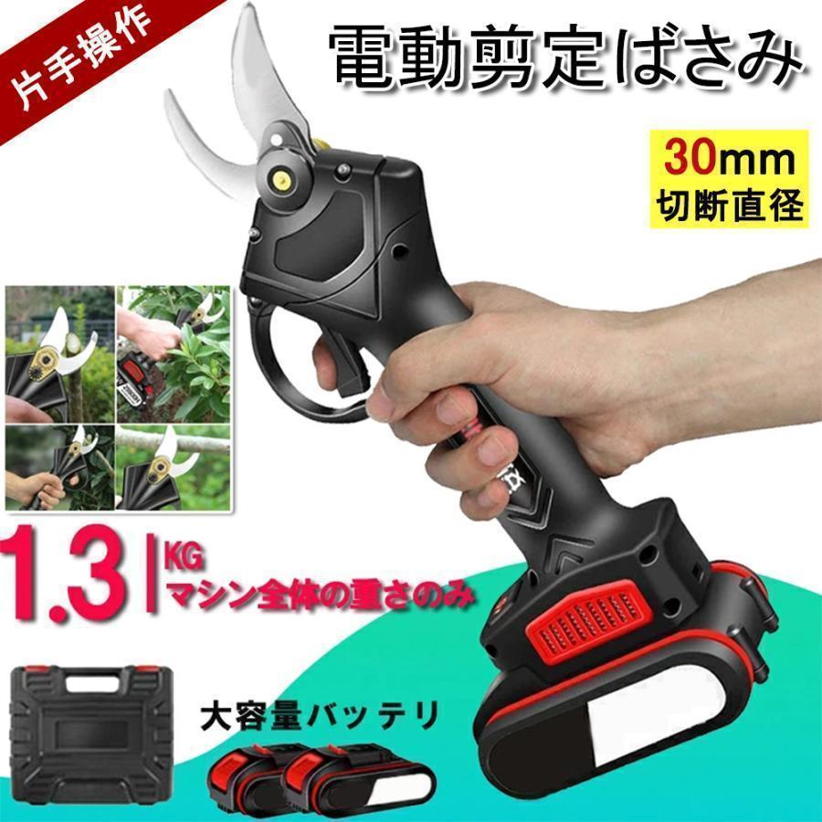 電動剪定ばさみ 充電式 剪定バサミ バッテリー2個付き 収納
