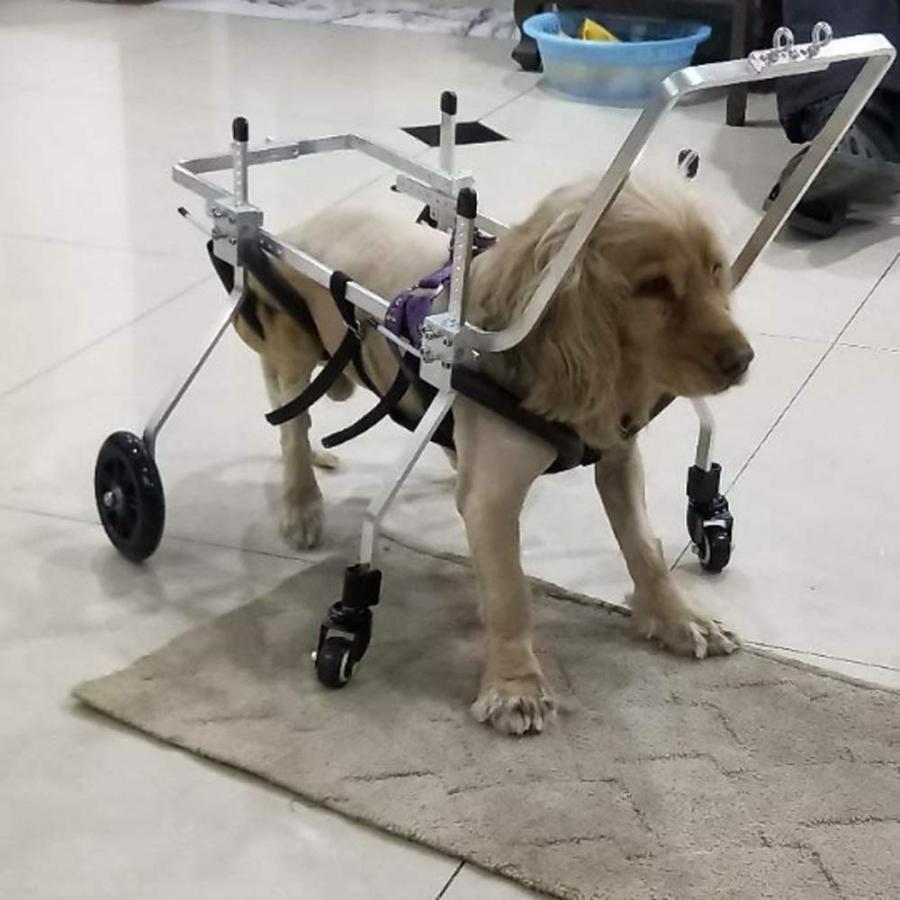M.シュナウザー4輪歩行器!リハビリ!食事補助!犬用車椅子!介護!犬の歩行器! 犬用歩行器 親友 - 犬車椅子調節可能な4輪ステンレス鋼カート