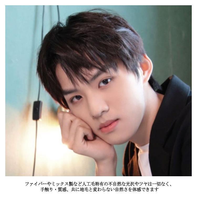 人毛100%! メンズウィッグ 男性用かつら メンズウイッグ 医療用 人毛100%! メンズウィッグ 男性用かつら メンズウイッグ 医療用