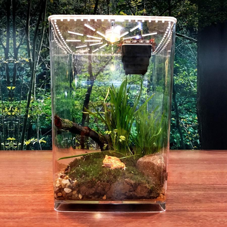 爬虫類ゲイジ 水槽 その他