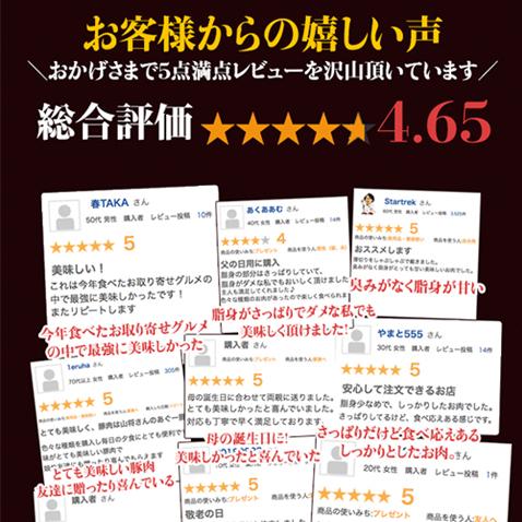 あぐー豚 アグー豚 高級 国産 焼肉 肉 BBQ バーベキュー セット19人〜20人前｜yamasyoo｜12