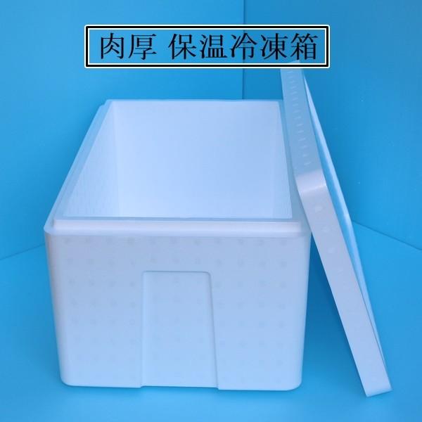 爆買い新作 セール特価 発泡スチロール 箱 保温冷凍箱 クーラーボックス 大 肉厚 ３４リッター 1セット ５５０×３５０×２８５mm mac.x0.com mac.x0.com