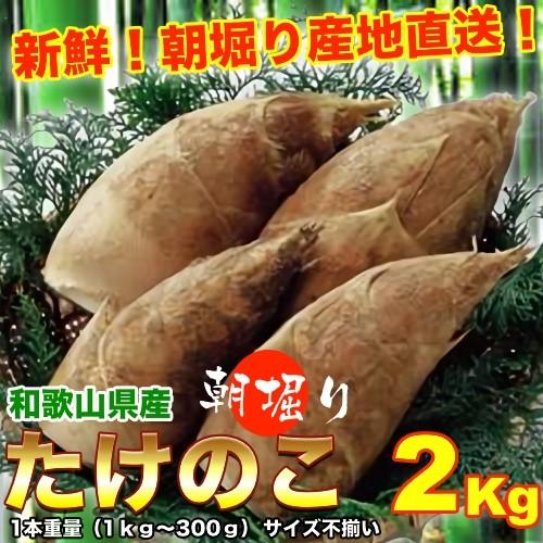 予約受付】和歌山県産 訳あり ご自宅用 朝堀りタケノコ たけのこ 予約受付】和歌山県産 訳あり ご自宅用 朝堀りタケノコ たけのこ
