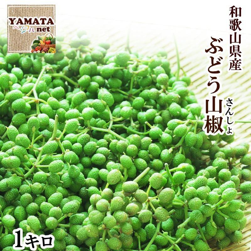 さんしょう ぶどう山椒 和歌山県産 生山椒 1kg 送料無料 山椒の実 生産量日本一の和歌山県より産地直送 数量限定 青山椒 予約販売 Wbs1000 Yamataベジフル Net 通販 Yahoo ショッピング