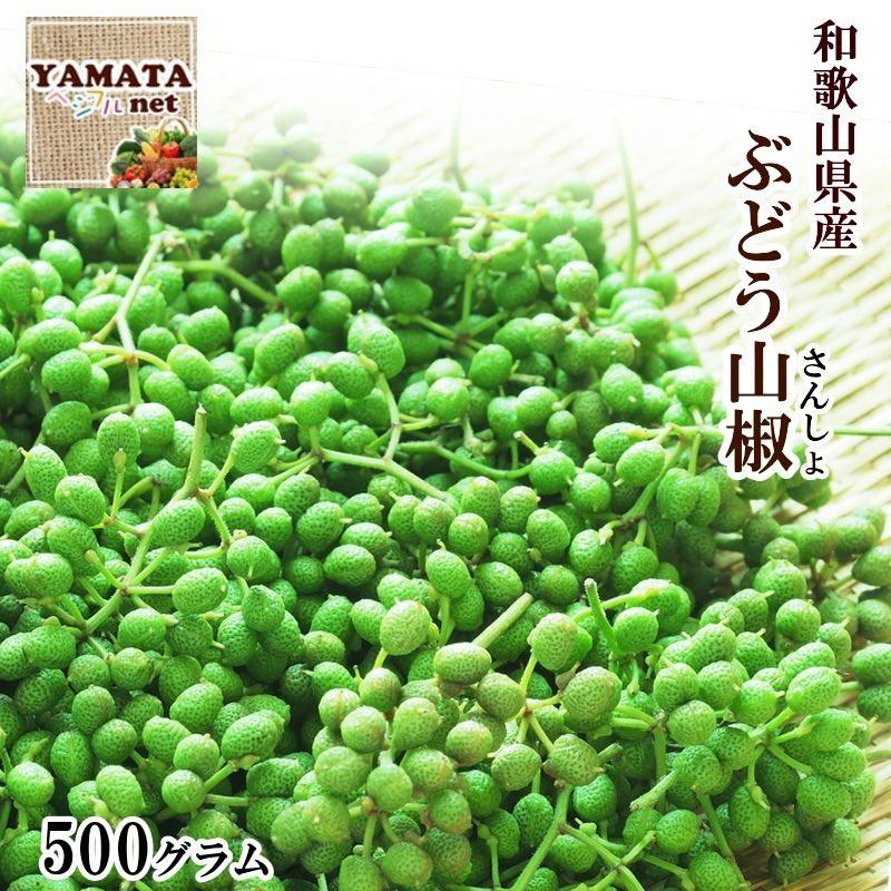 Yamataベジフル Netさんしょう ぶどう山椒 和歌山県産 生山椒 500g 送料無料 山椒の実 生産量日本一の和歌山県より産地直送 数量限定 青 山椒 62 以上節約