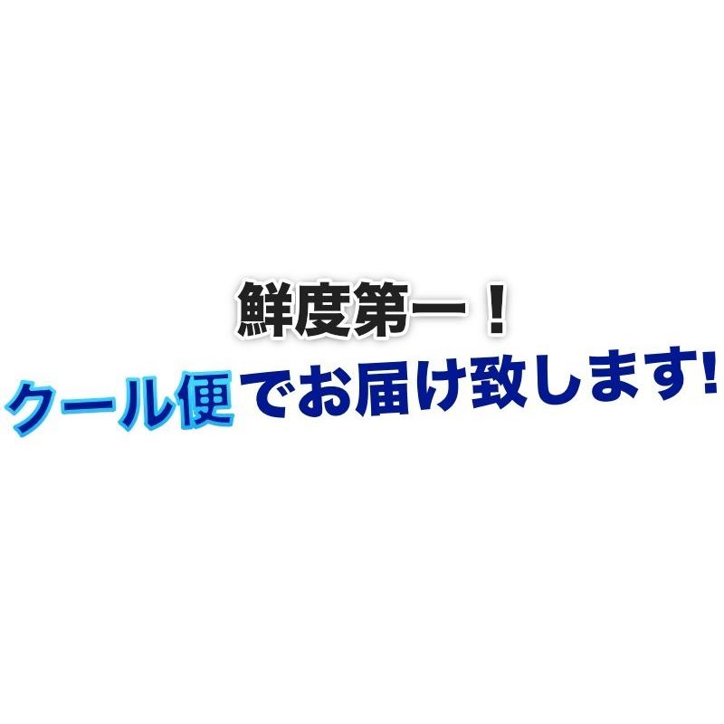 予約受付開始】和歌山県産 南高梅 完熟梅 秀品 5kg 3Lサイズ以上(3L
