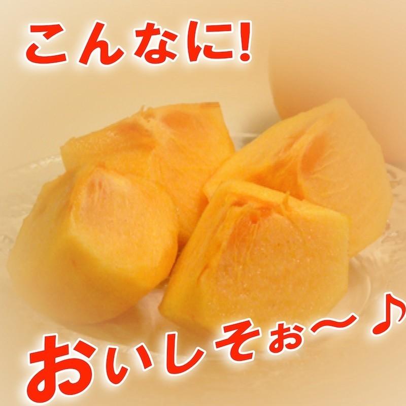 数量限定大セール】柿 たねなし 和歌山県産 訳あり たねなし柿 5kg